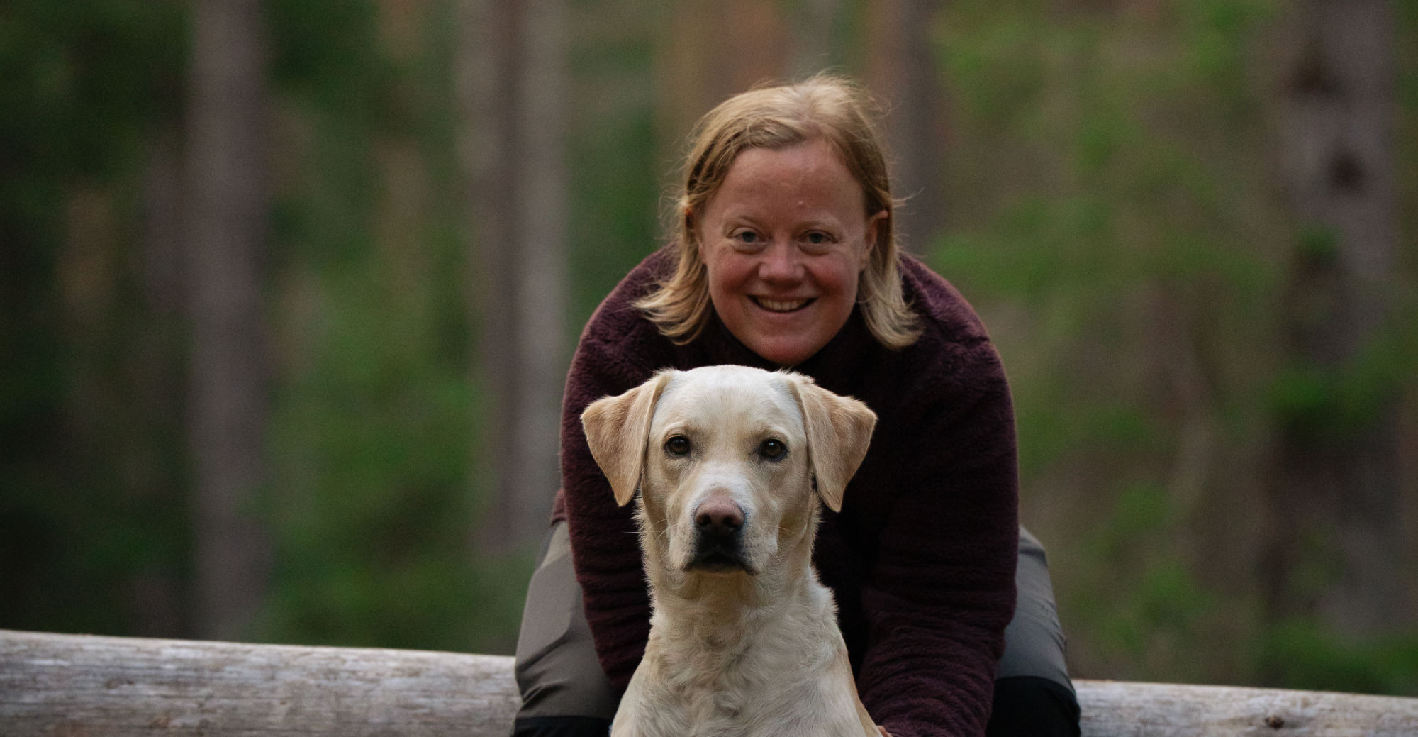 Hund Hälsa Kunskap